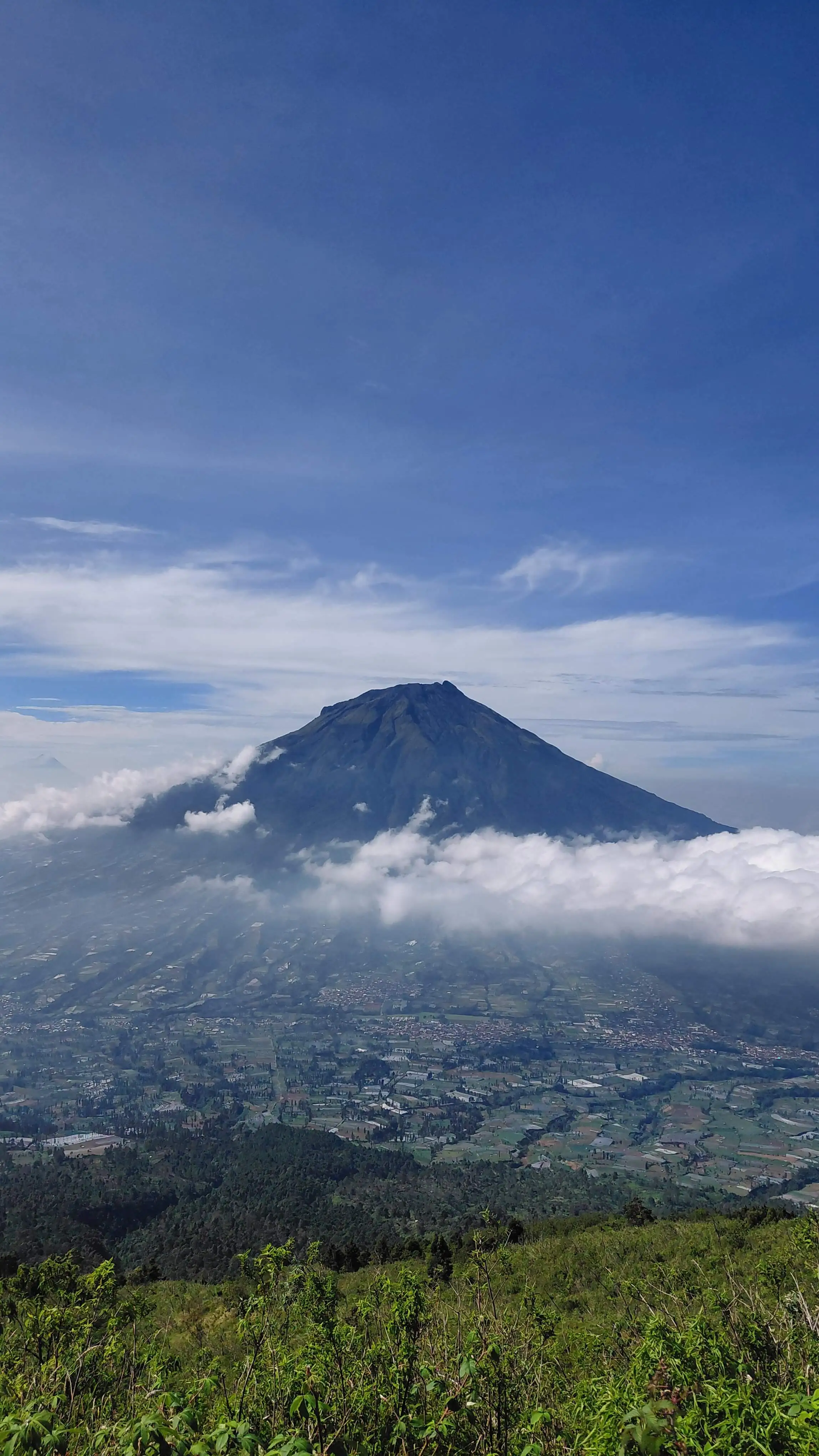 Merbabu Savanna Trek