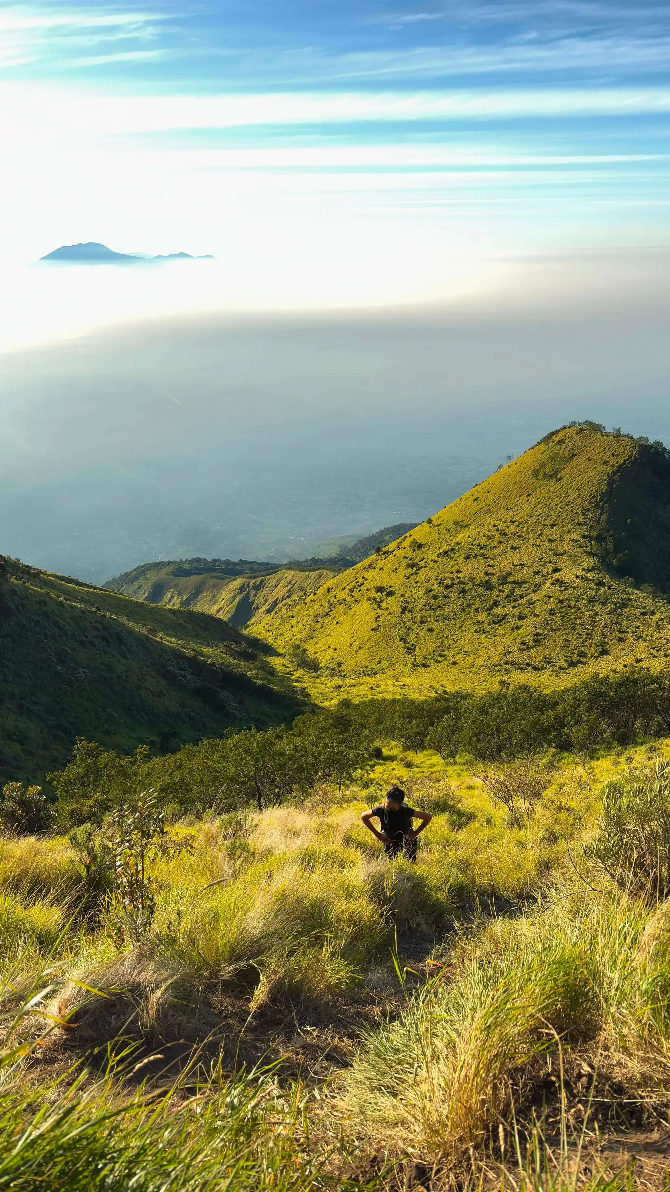A hiker walking up a steep grassy trail through the beautiful mountain savanna of Mount Merbabu during a sunny day trek.