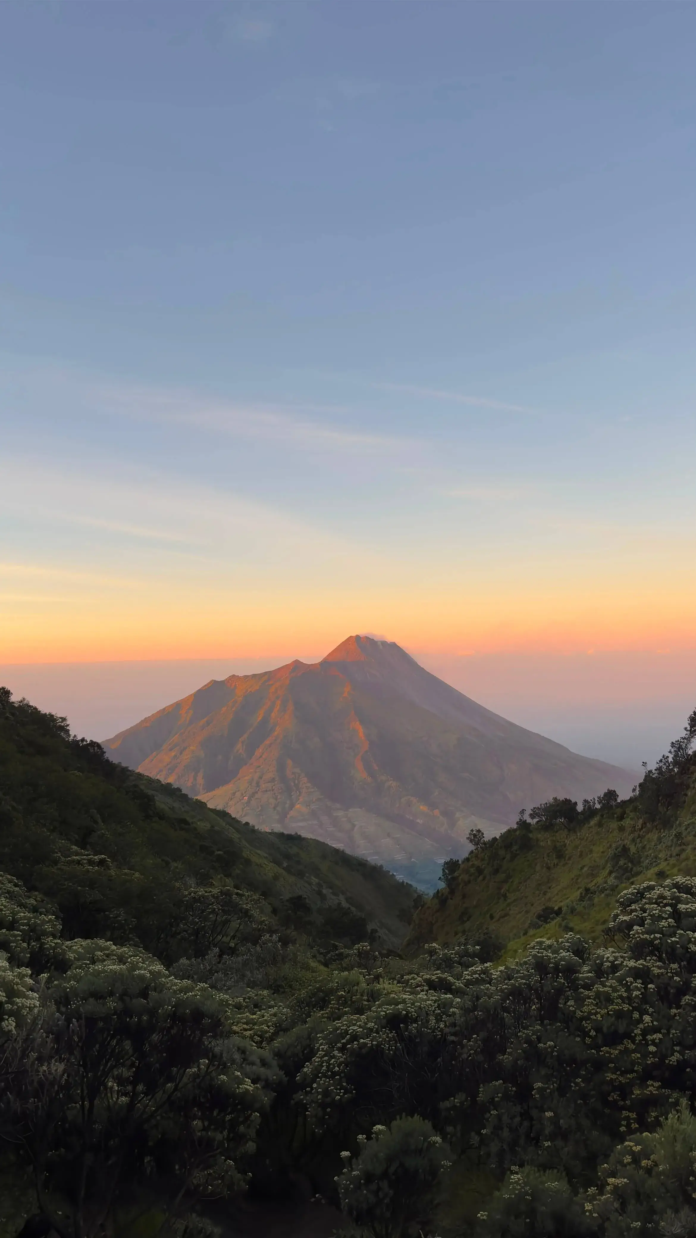 Merbabu Savanna Trek